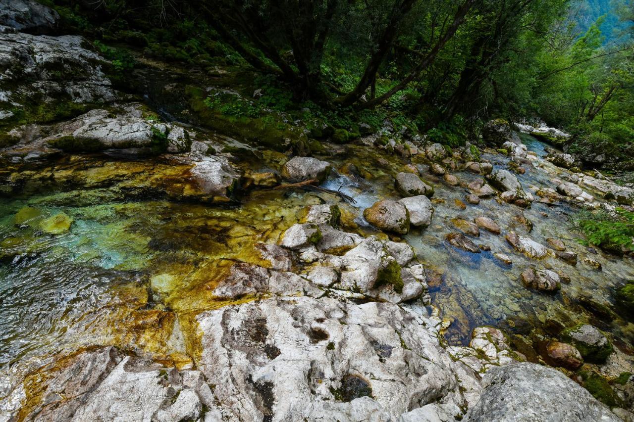 Julian Village Lepena Soča Eksteriør billede