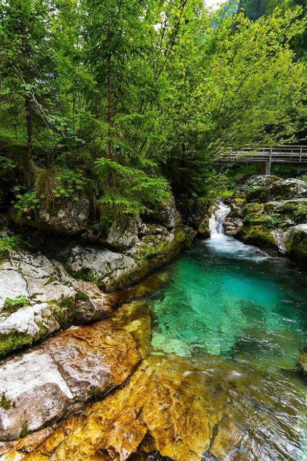 Julian Village Lepena Soča Eksteriør billede